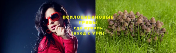 a pvp Заводоуковск