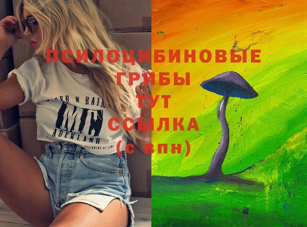 меф Заволжск