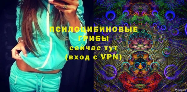 a pvp Заводоуковск